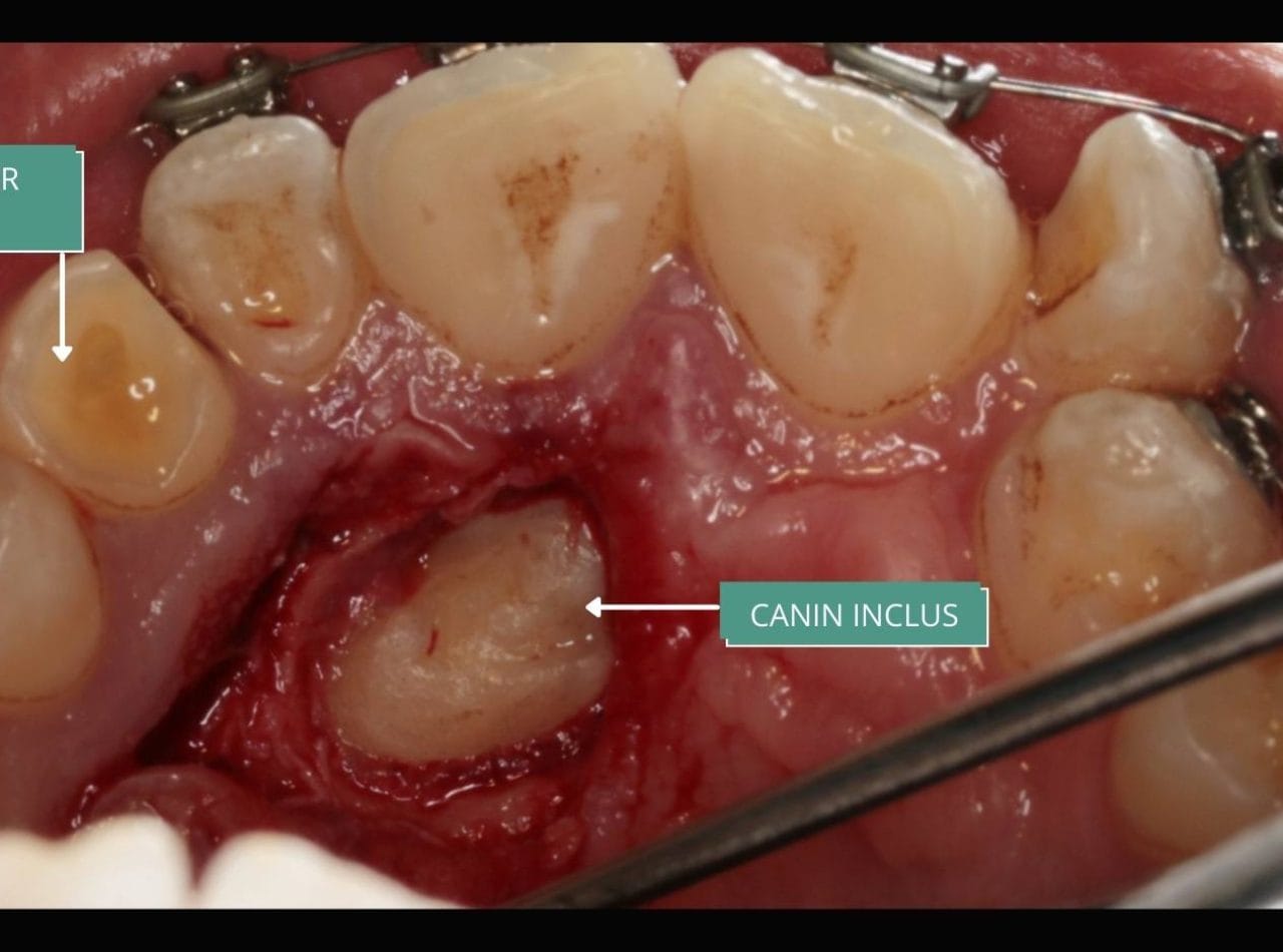 CAZ CLINIC ORTODONTIC